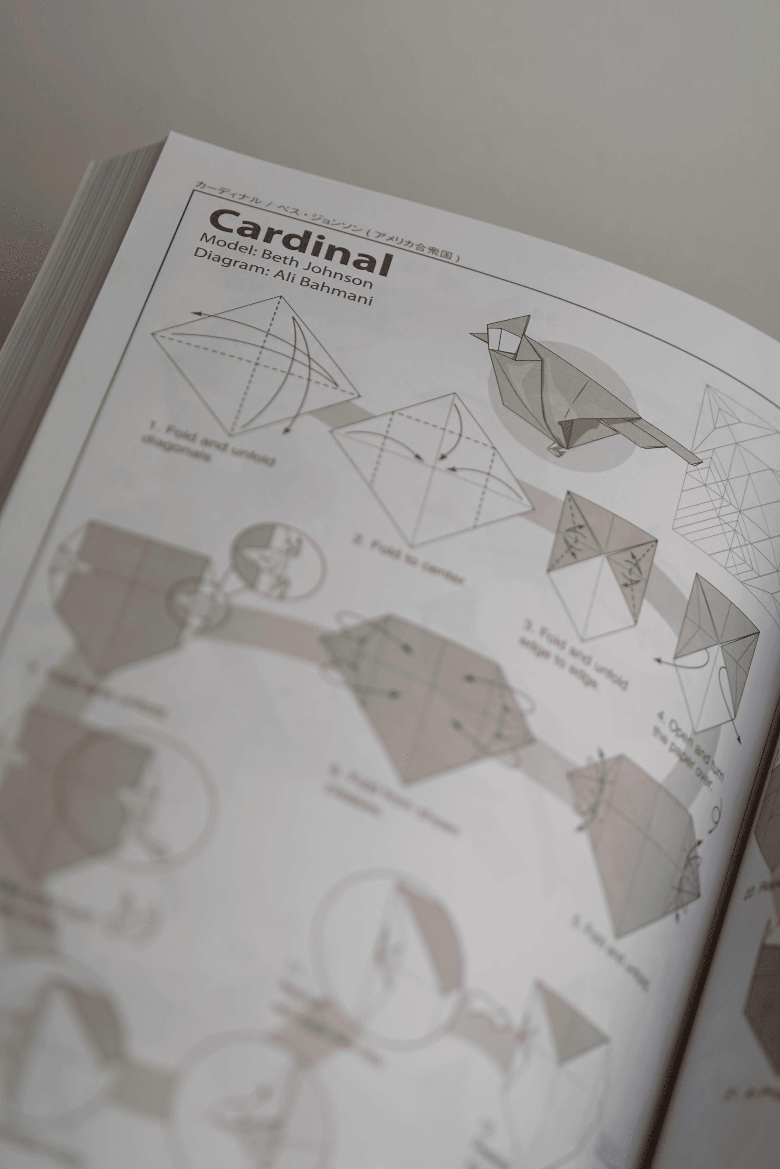 Origami Designs image 1